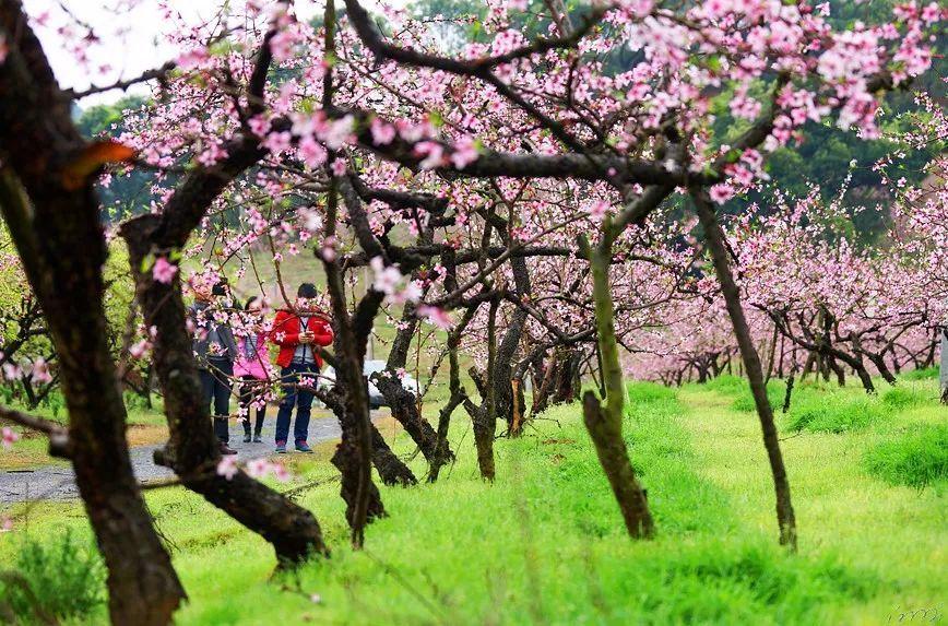 醴陵：做好低温雨雪冰冻防范 确保人民群众安全温暖过冬