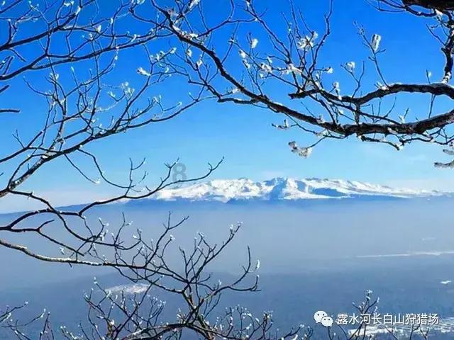 延熹攻略大换装