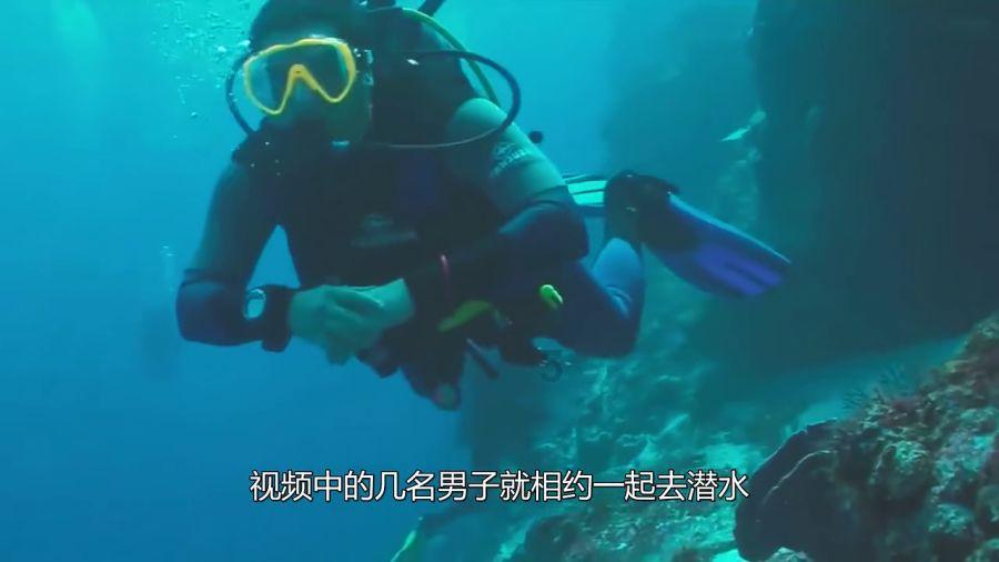 逗小猴开心系列195