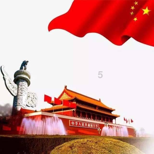 救援受困的小野猫